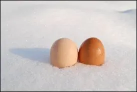 Que reprsente cette image ?