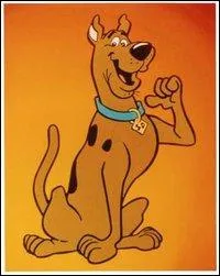 Quelle est la race de Scooby-Doo ?