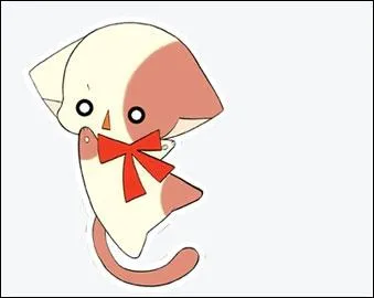 Comment s'appelle le chat de Kilari ?