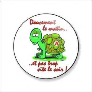 Quelle chanteuse ghanenne se fit connatre en 1985 en interprtant 'Tout doucement' ?