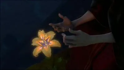 D'o provient la fleur aux ptales d'or ?