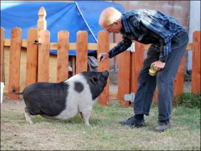 Il a une forme bien particulire, c'est ...