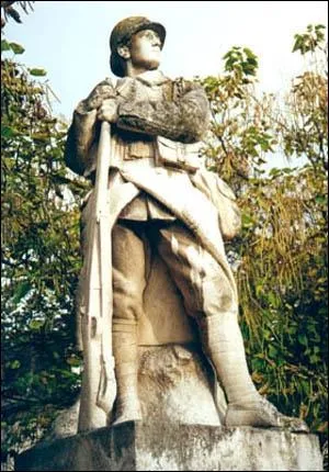 '' ... je m'étourdis, ça ne suffit pas / À m'faire oublier que t'es plus là / J'ai gardé cette photo sur moi, ce photomaton que t'aimais pas / ... N'attends pas que je sois tombé pour la France''