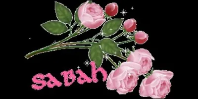 Quelle est l'origine de Sabah, prénom qui signifie "le matin" ?