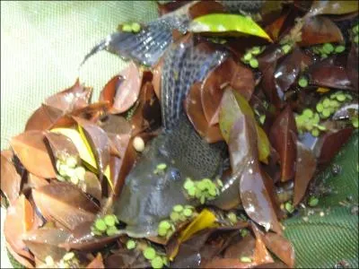 Que voyez-vous sur cette photo ?