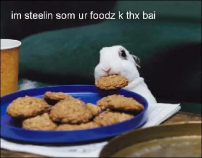 Que pourrait vous dire le capitaine d'un navire franais en voyant le lapin que vous comptez embarquer ?