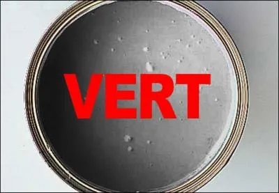 Quelle est la couleur du texte ?