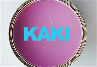 Quelle est la couleur de la peinture ?