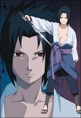 Qui est l'amoureuse de Sasuke ?