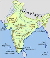 Combien de langues sont parles dans le sous-continent indien ?