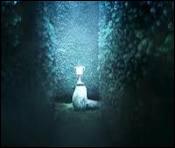 Quelle est la dernire ?