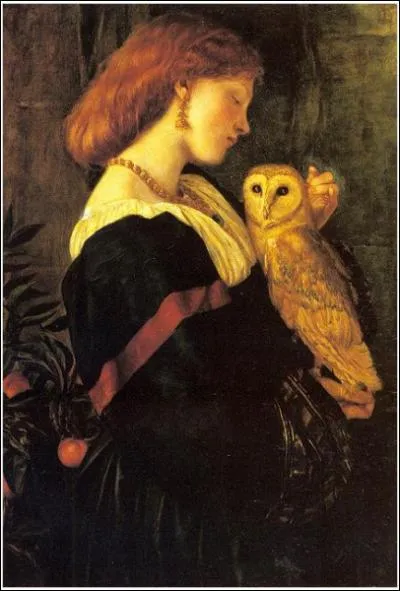 L'Effraie des clochers