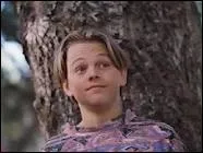 Lonardo Di Caprio a lui aussi dbut dans une suite de films d'horreur comiques en 1991. De quelle suite s'agit-il ?