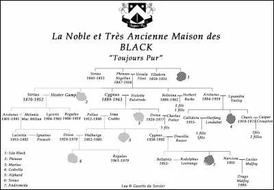 Quelle est la 'phrase' crite tout en haut de la tapisserie des Black ?