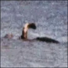 Il s'�battrait dans un endroit o� le kilt est de mise !