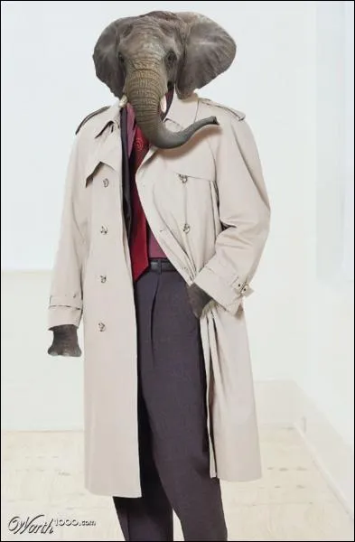 Qui a invent� l'imperm�able ?