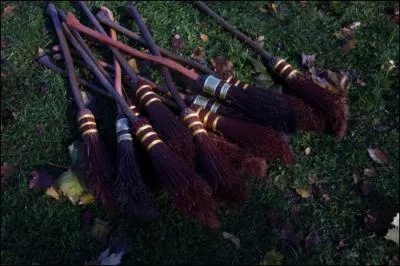 Quand Lee Jordan est partie, c'est Zacharia Smith qui a comment le match de quidditch. Mais qui le commente quand il joue ?