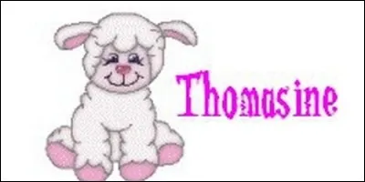 Que signifie le prénom Thomasine, d'origine araméenne ?