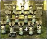 Combien y a-t-il de lapins ?