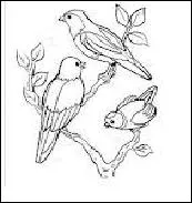 Combien y a-t-il d'oiseaux ?