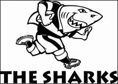 D'o provient cette quipe de rugby ?