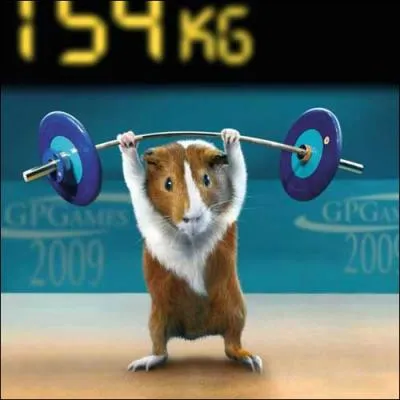 Il faut tre costaud, pour pratiquer ce sport !