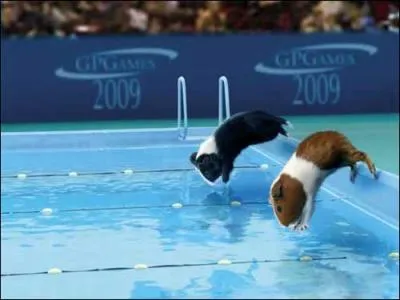 Pour ce sport,  certains moments, il faut savoir retenir sa respiration !