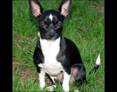 Grce  une chanson, mon nom a fait le tour du monde !