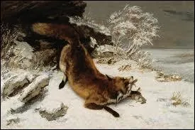 Renard dans la neige