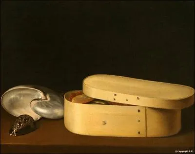 Nature morte au nautile