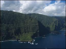 O se trouve Umilehi, la falaise la plus haute du monde ?