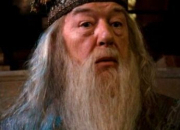 Quiz Albus Dumbledore