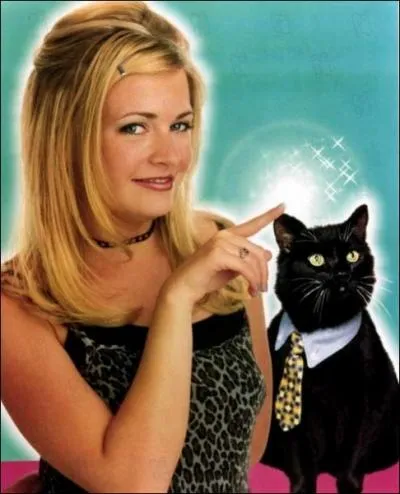On pourrait dire que le chat Salem est au moins aussi important qu'elle, mais c'est quand mme l'actrice Melissa Joan Hart qui porte la srie sur ses paules, srie titre ?