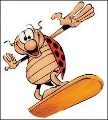 Combien d'oeufs pond la femelle ?