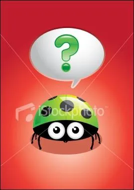 Les coccinelles  22 points existent-elles ?