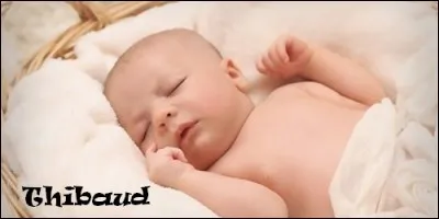 Quand fête-t-on les Thibaud ?