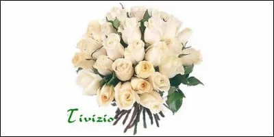 Quelle est l'origine de Tivizio, prénom que l'on fête le 18 juillet ?