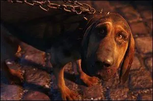 Qui prte sa voix au personnage de Bayard, le chien ? (V. O)