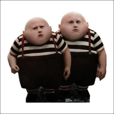 Qui joue le rle de tweedledee et tweedledum ?
