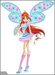 Quel est le pouvoir de Bloom ?