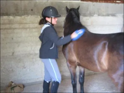 Que faut-il pour faire un pansage lmentaire ?