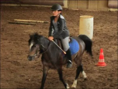 Sur la photo,  quelle main est cette cavalire ?