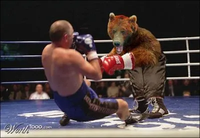 Il existe une espce d'ours appele 'Isabelle' !