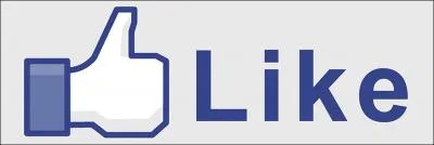 De quel pays vient Facebook ?