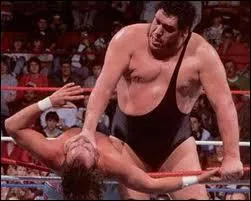 Quel tait le petit nom du gant du ring ?