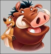 A quel dessin anim appartient ce duo qui fredonne une chanson trs entranante ?