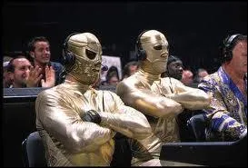 Quel est le nom de cette quipe de catcheurs masqus apparue en 1988 ?