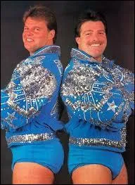 Quel est le nom de famille de Jacques et Raymond qui formaient 'The Fabulous Brothers' (Montral) ?