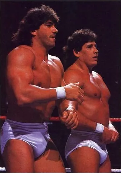 Quelle quipe tait compose de Rick Martel et Tito Santana ?