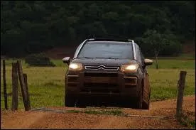 Quelle est cette Citron ?